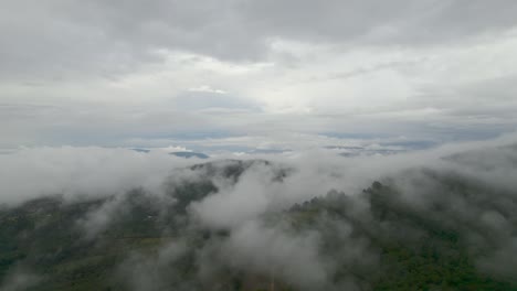 Dolly-Inn-Con-Drone-Sobre-El-Bosque-En-Colombia-En-Un-Día-De-Niebla