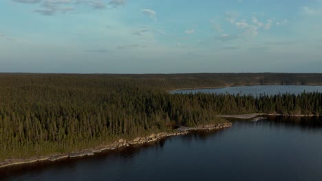 Aerial-view-of-a-forest-and-lake-at-dusk