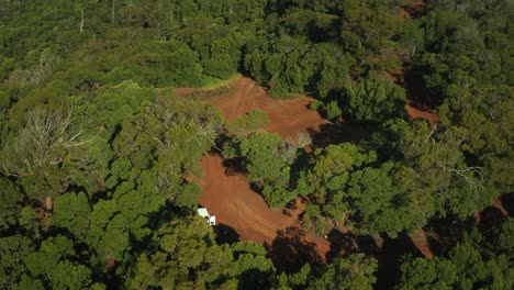 Natural-dirt-track-with-motorcycle-racing-through-thick-green-forest,-aerial