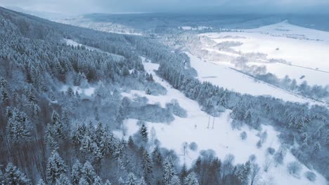 Winter-in-a-spruce-forest,-spruces-covered-with-white-fluffy-snow---aerial-flyover
