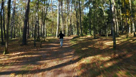 Drone-Following-A-Man-Running-In-The-Forest-During-Autumn-At-Neris-Regional-Park,-Lithuania