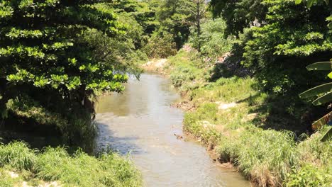 Wildes-Und-Teilweise-Zerstörtes-Flussufer-Mit-Nicht-Biologisch-Abbaubarem-Müll-Und-Durch-Überschwemmungen-Und-Überschwemmungen-Beeinträchtigtem-Grün
