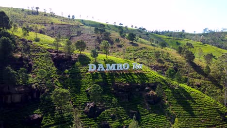 Umlaufbahnaufnahme-Einer-Superweiten-Ländlichen-Teeplantage-Auf-Bergen,-Landschaft-Von-Nuwara-Eliya,-Sri-Lanka