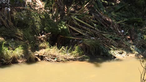 Schwenken-Um-Zerstörte-Flussufer-Mit-Nicht-Biologisch-Abbaubarem-Müll-Und-Beschädigtem-Grün-Durch-Überschwemmung-Und-Überschwemmung