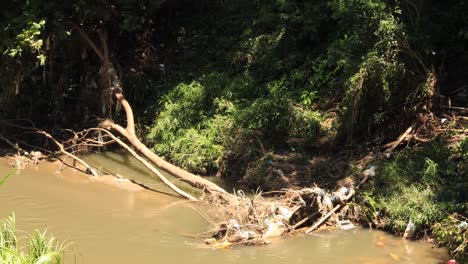 Betroffenes-Flussufer-Mit-Nicht-Biologisch-Abbaubarem-Müll-Und-Betroffene-Grünflächen-Aufgrund-Von-Überschwemmungen-Und-Überschwemmungen