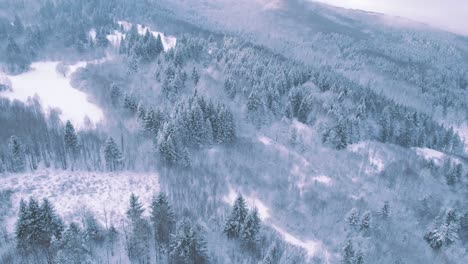 Aerial-view-of-vast-forest-covered-with-white-snow,-winter-landscape,-day