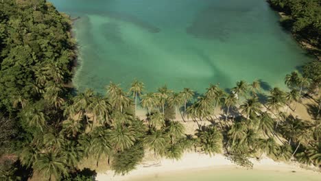 slow-4K-aerial-footage-top-down-of-tropical-island-joined-together-by-a-sand-bar-with-palm-trees-beach