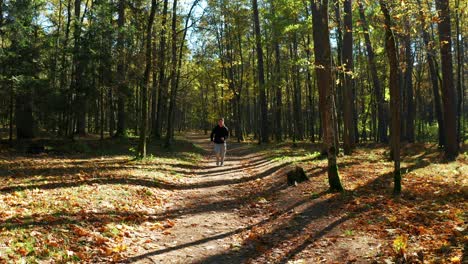Man-Running-In-The-Forest-On-A-Sunny-Day-In-Neris-Regional-Park-In-Lithuania