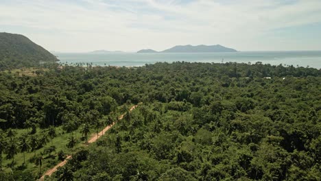 aerial-descending-down-dirt-road,-lush-green-foliage-with-ocean-and-island-in-distance