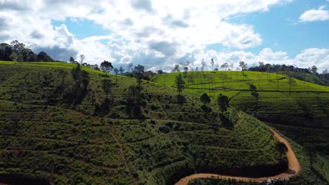 Aerial-flying-over-tea-fields-in-sunny-day,-Nuwara-Eliya,-Sri-Lanka