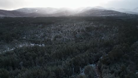 Cinematic-drone-footage-slowly-reversing-high-above-the-white-canopy-of-Scots-pine-trees-covered-in-snow-with-a-striking-winter-mountain-sunrise