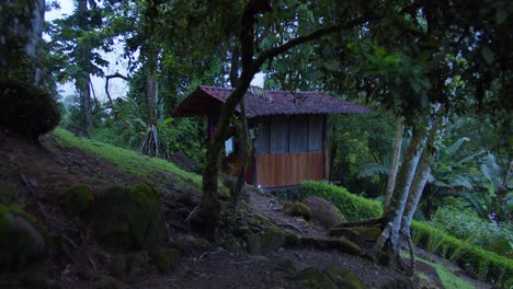 Costa-Rica-Stimmungsvolle-Bungalow-hexenhütte-Im-Dschungelregenwald