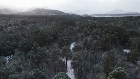 Cinematic-drone-footage-slowly-reversing-to-reveal-the-white,-snow-covered-canopy-of-Scots-pine-trees-with-a-dramatic-mountain-sunrise-in-winter