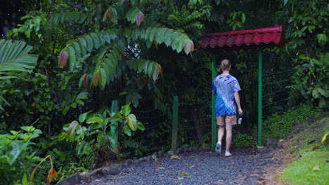 Man-Walks-Into-Jungle-Rainforest-in-Costa-Rica-with-Film-Camera