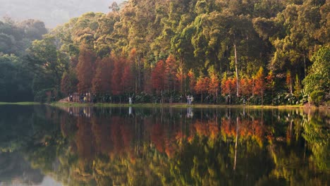 Timelapse-of-people-visiting-Lau-Shui-Heung-Reservoir-pond-shoreline-between-an-autumn-woodland-on-an-overcast-day,-Hong-Kong,-China