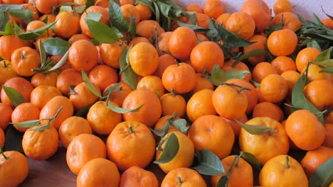 Bunch-of-freshly-picked-mandarinas