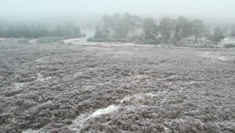Cinematic-drone-footage-flying-over-people-towards-a-fast-flowing-river-ana-ancient-Scots-pine-trees-through-frozen-fog-in-winter
