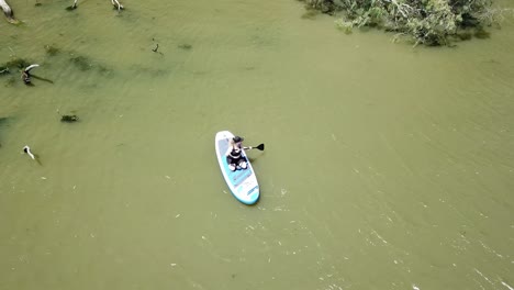 Drohnenantenne-über-Dem-Fluss-Frau-Stand-Up-Paddle-Board-Paddeln