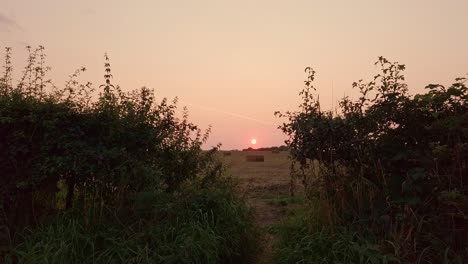 Farm-field-at-dusk-overlooking-hay-bales