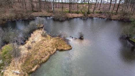Drone-shot-of-the-wetlands-of-northern-Belgium