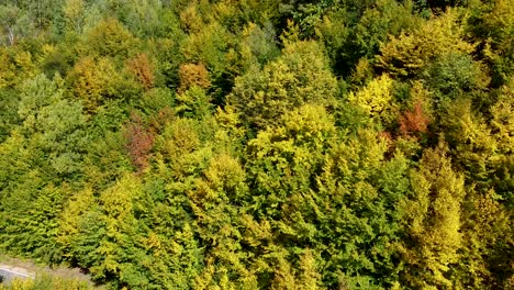 Herbstfarben-Des-Waldes-In-Den-Apuseni-Bergen-In-Der-Nähe-Des-Dorfes-Marisel-Und-Maguri-Racatau
