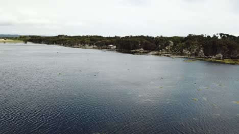 Drone-aerial-over-lake-and-nature-reserve-pan-up-on-cloudy-day