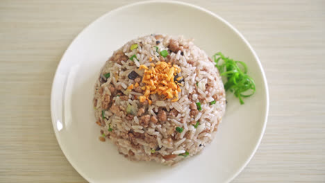 Salted-Chinese-Black-Olive-Fried-Rice-with-Minced-Pork---Asian-food-style
