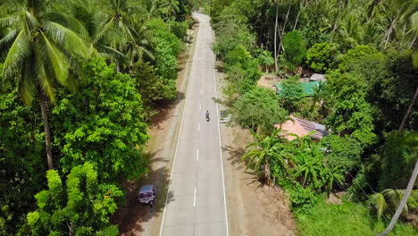 Aerial-view-of-motorcycle-moving-between-palm-trees-in-Palawan,-Philippines