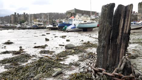 Rotting-derelict-old-pier-wood-debris-on-Conwy-castle-harbour-shoreline-dolly-left