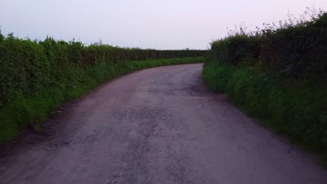 POV-slow-down-dusty-country-path-between-hedge-rows