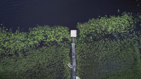 Top-down-zoom-in-aerial-drone-shot,-small-overgrown-woooden-pier-at-dark-lake-shore