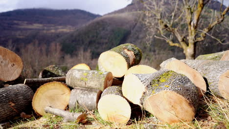 Woodpile-fresh-cut-firewood-stored-outdoor-in-the-forest-with-natural-landscape-mountain-view-of-woodland-forest