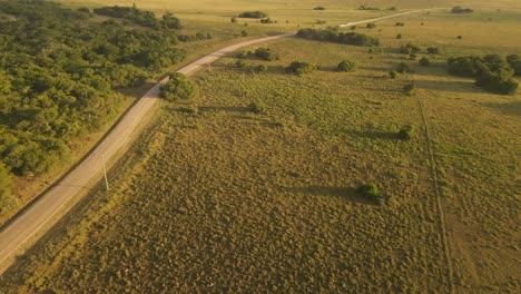 Aerial-view-of-Motorbike-driving-on-rural-road-at-sunset-surrounded-by-green-fields-and-plants---Punta-del-Diablo,Uruguay