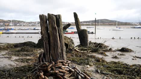 Rotten-derelict-old-pier-wood-wreck-on-Conwy-harbour-shoreline