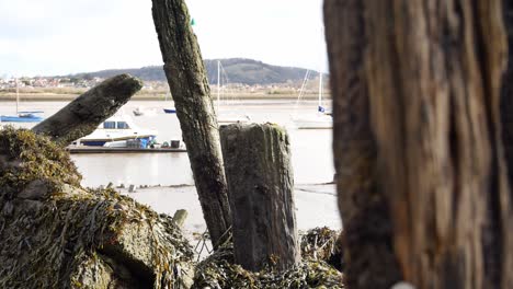 Rotten-derelict-old-pier-wood-debris-on-Conwy-harbour-shoreline-close-up-dolly-right