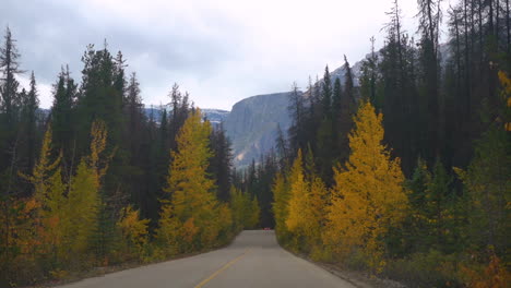 Driving-on-Road-in-Colorful-Mountain-Landscape-in-Autumn-Season,-Drivers-POV-of-Road-and-Forest,-Slow-Motion