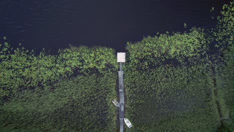 Small-overgrown-wooden-pier-with-two-Boats,-Sweden,-Top-down-static-drone-shot