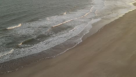 Aerial-birds-eye-shot-of-lonely-person-enjoying-weather-by-walking-at-sandy-beach-and-reaching-waves-of-ocean-at-sunset