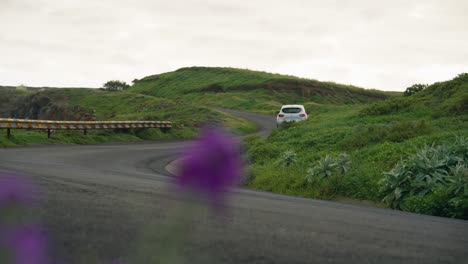 Silver-car-drives-on-scenic-peaceful-highland-road-in-Madeira,-bokeh-purple-flowers
