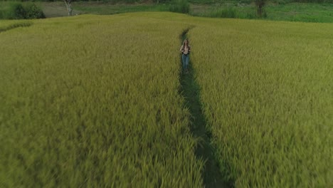 Happy-blond-female-backpacker-walking-on-trail-through-rice-field,-aerial