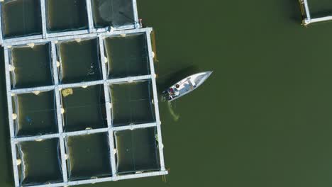 Fisherman-taking-off-on-small-motorboat-at-floating-fish-farms,-aerial