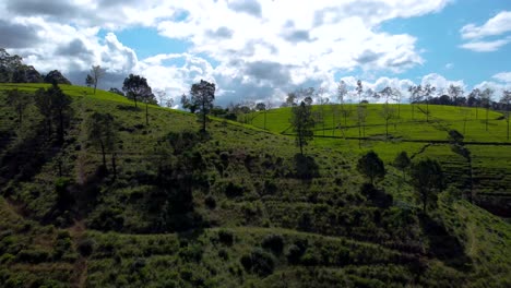 Luftbild,-Das-über-Die-Teeplantage-Nuwara-Eliya,-Sri-Lanka-Fliegt