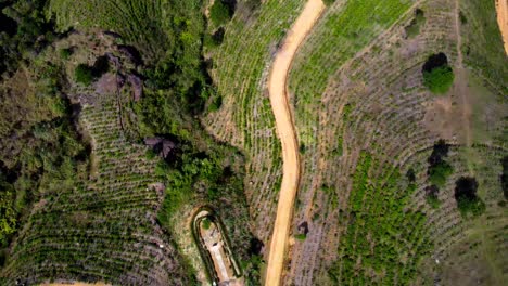 Aerial-Drone-Over-Green-Terraces-and-Farm-Countryside-In-Mountains-Of-Ella,-Sri-Lanka