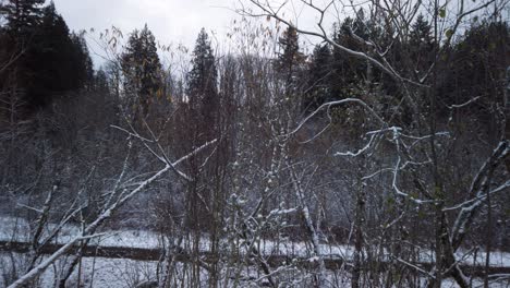 Snowy-landscape-of-bare-trees-on-grey-winter-day,-Pan-Right
