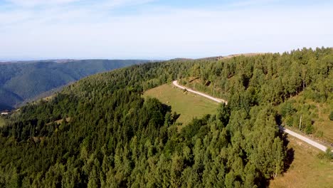 Aerial-view-over-the-vast-forest-near-Marisel-village-in-Apuseni-Mountains-in-Romania