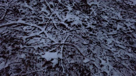 Schneebedeckte-Äste-Und-Blätter-Auf-Dem-Boden-Im-Dunklen-Winterwald,-Rotierender-Hoher-Winkel