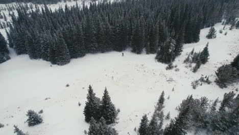 Drone-Aerial-View-Flying-Around-Man-Splitboarding-Standing-Alone-In-Snowy-Rocky-Mountains-Alpine-Forest-Near-Tree-Line-With-Light-Snowfall