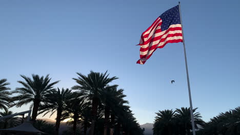 American-flag-and-palm-trees-blow-in-the-wind