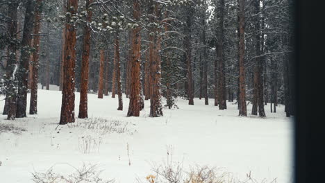Winterlich-Schneebedeckte-Felsige-Berge-Alpiner-Wald-Wald-Mit-Leichtem-Schneefall-In-Der-Nähe-Von-Nederland-Boulder-Colorado