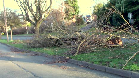 A-tree-blown-down-parallel-to-a-busy-road-due-to-the-high-winds-from-Storm-Eunice-across-the-United-Kingdom
